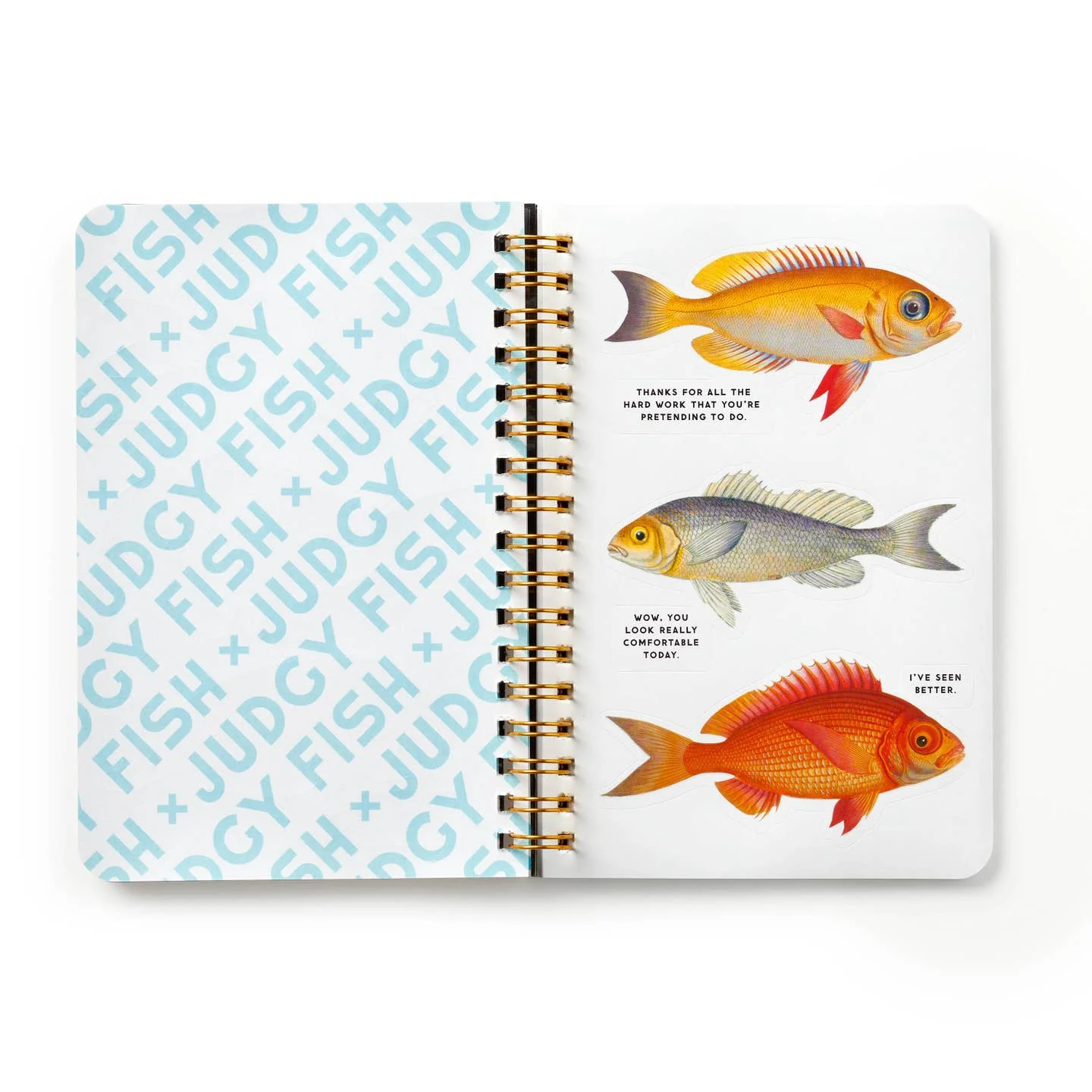 Judgy Fish Sticker Book - Image 4