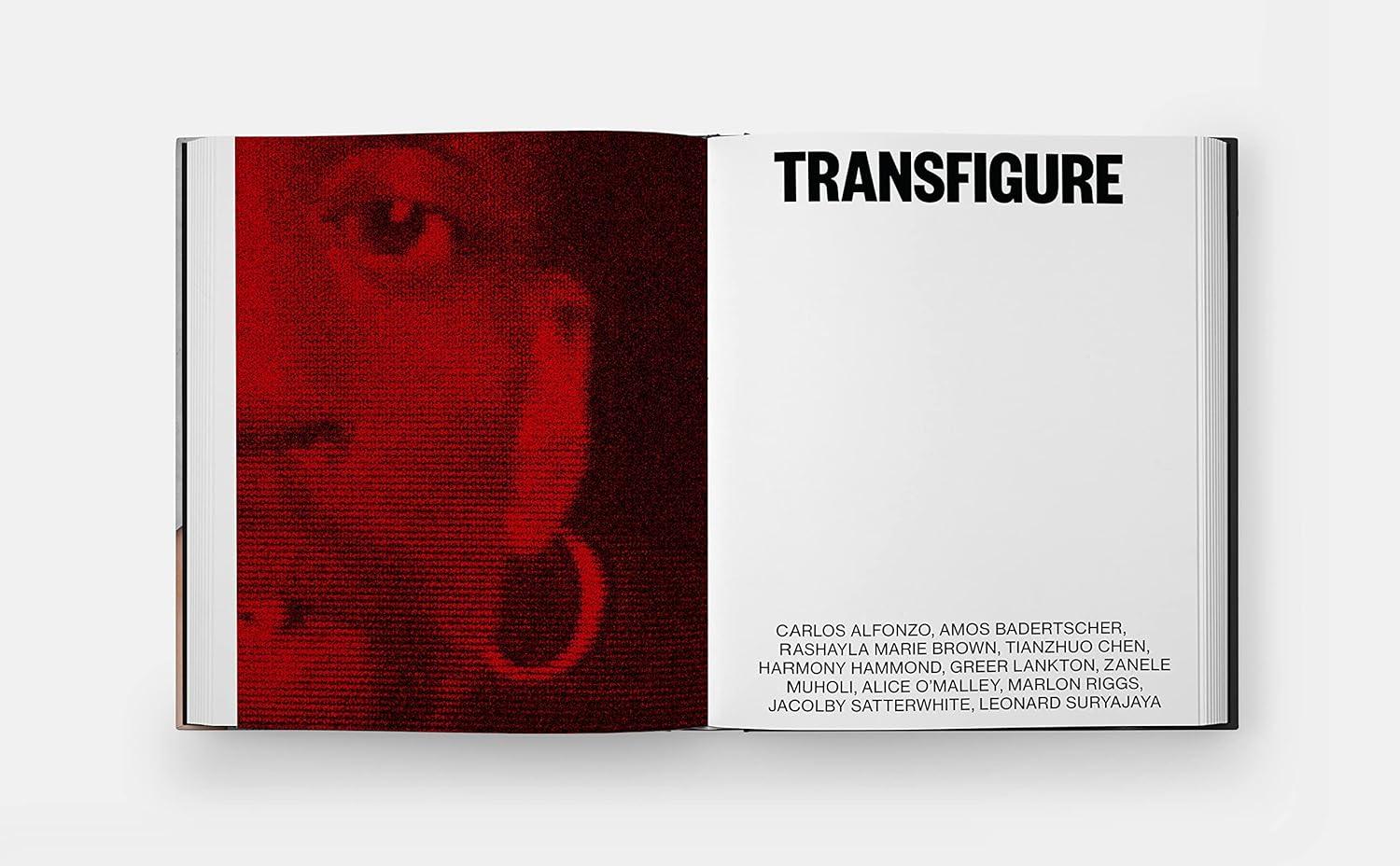 About Face: Stonewall, Revolt and New Queer Art - Image 2