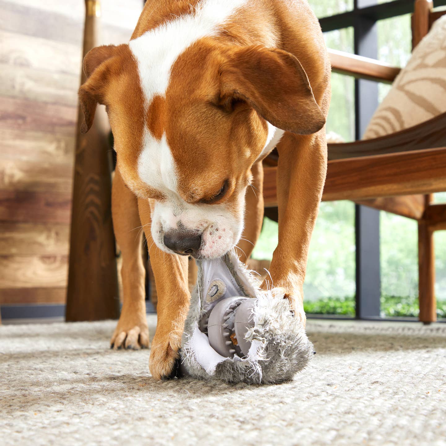Bark Hare Raiser Rabbit Rubber Super Chewer Dog Toy - Image 4