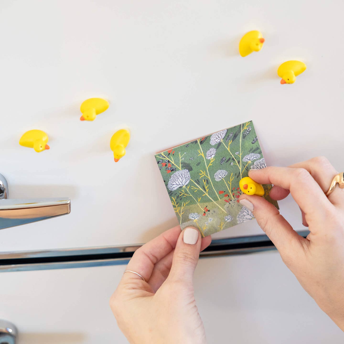 Colorful Duck Magnets - Image 3