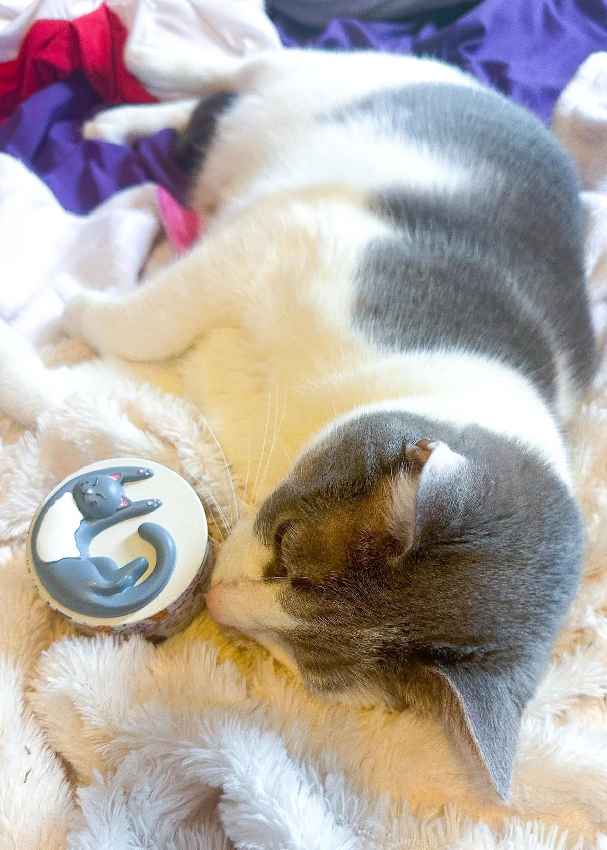 Cozy Cat Grinder - Image 2