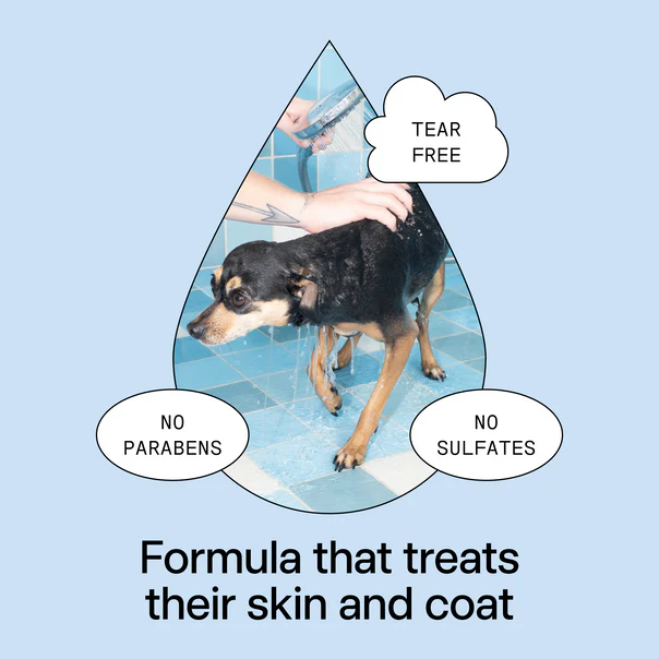 Dedcool Pet Shampoo 01 Taunt - Image 4