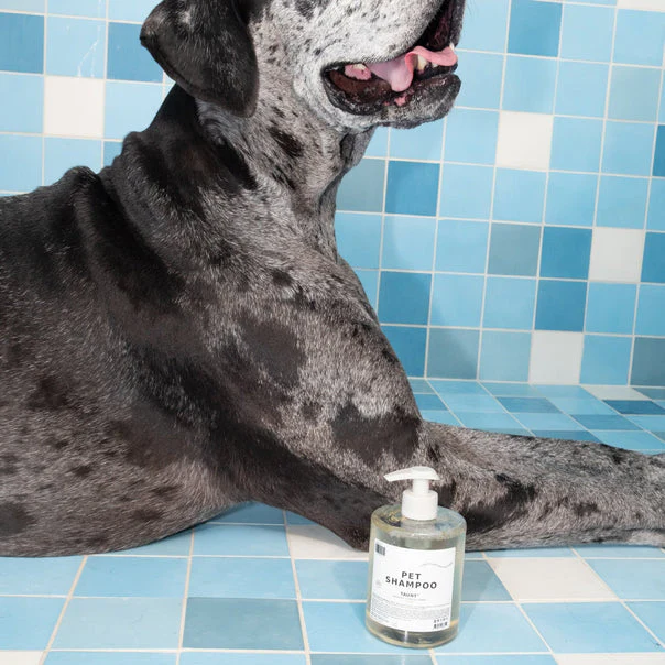 Dedcool Pet Shampoo 01 Taunt - Image 6