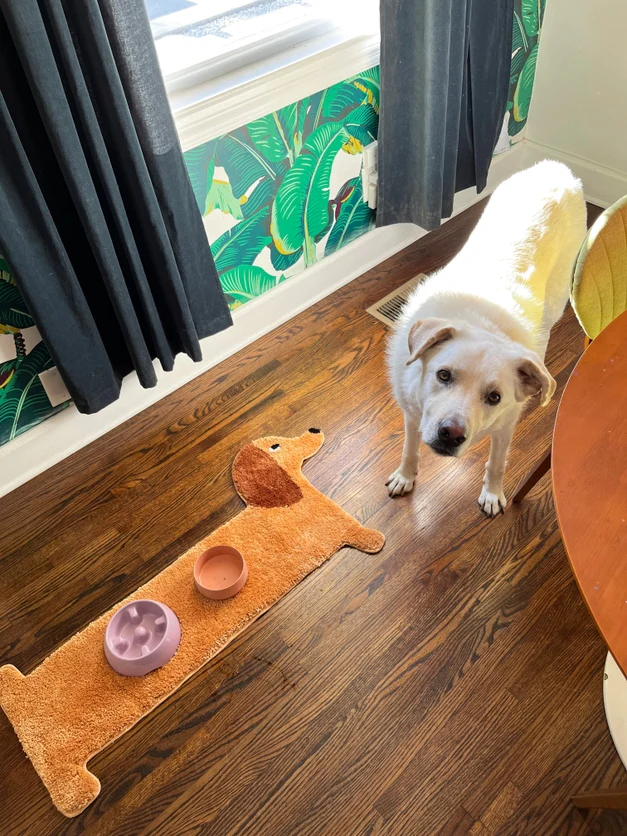 Dog Rug - Image 4