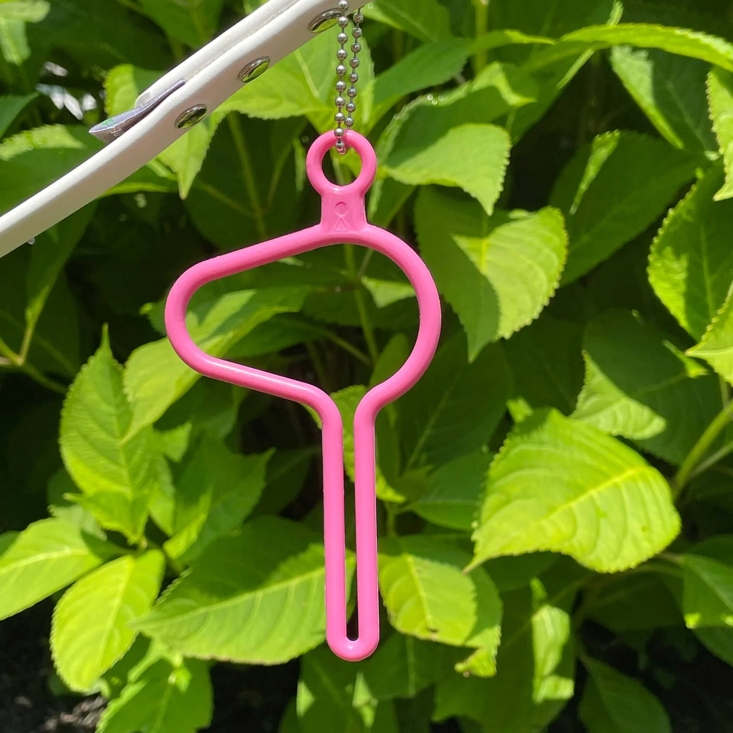 Dooloop - Malibu, We Love "Beach" Pink - Image 3