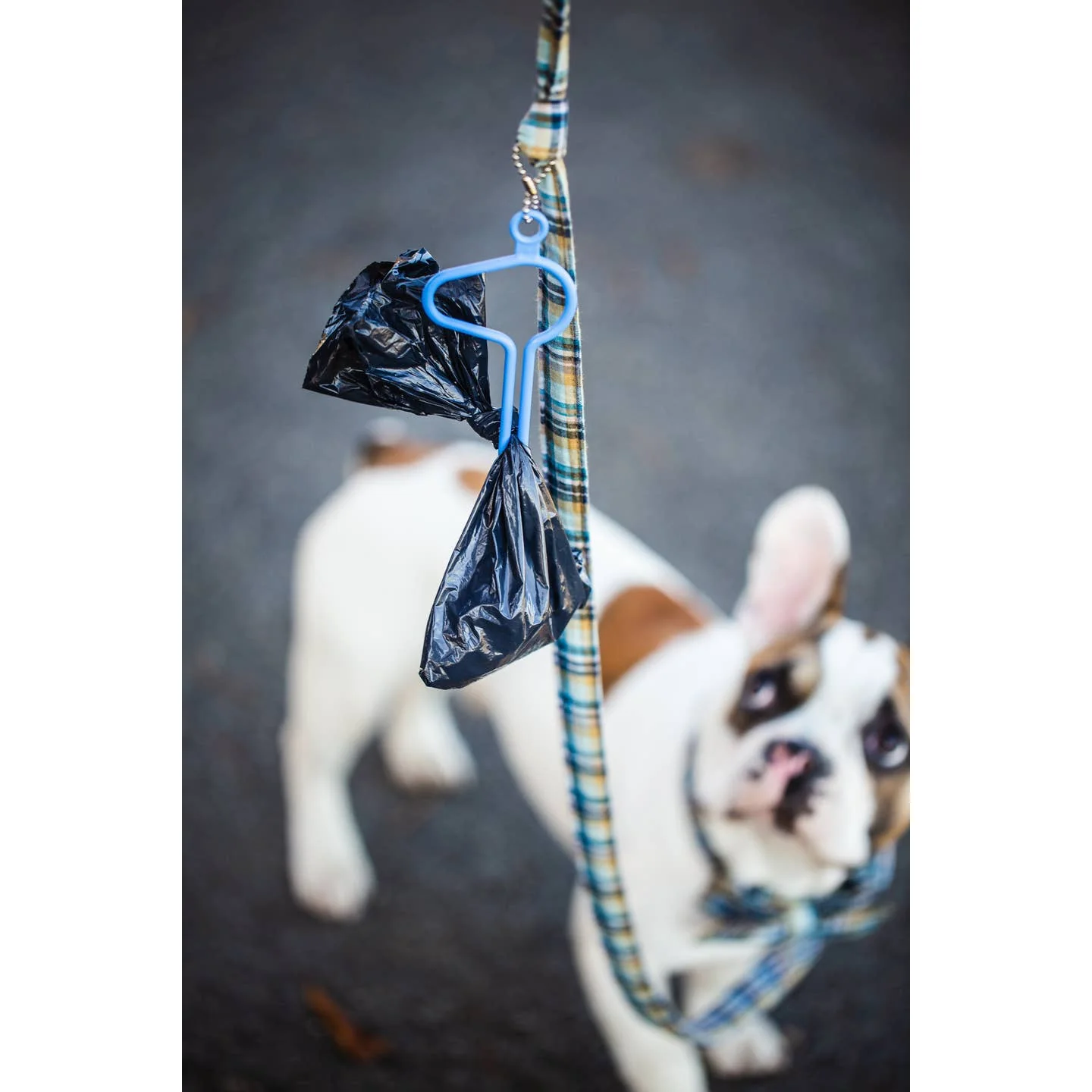 Dooloop - New Blue - Image 3