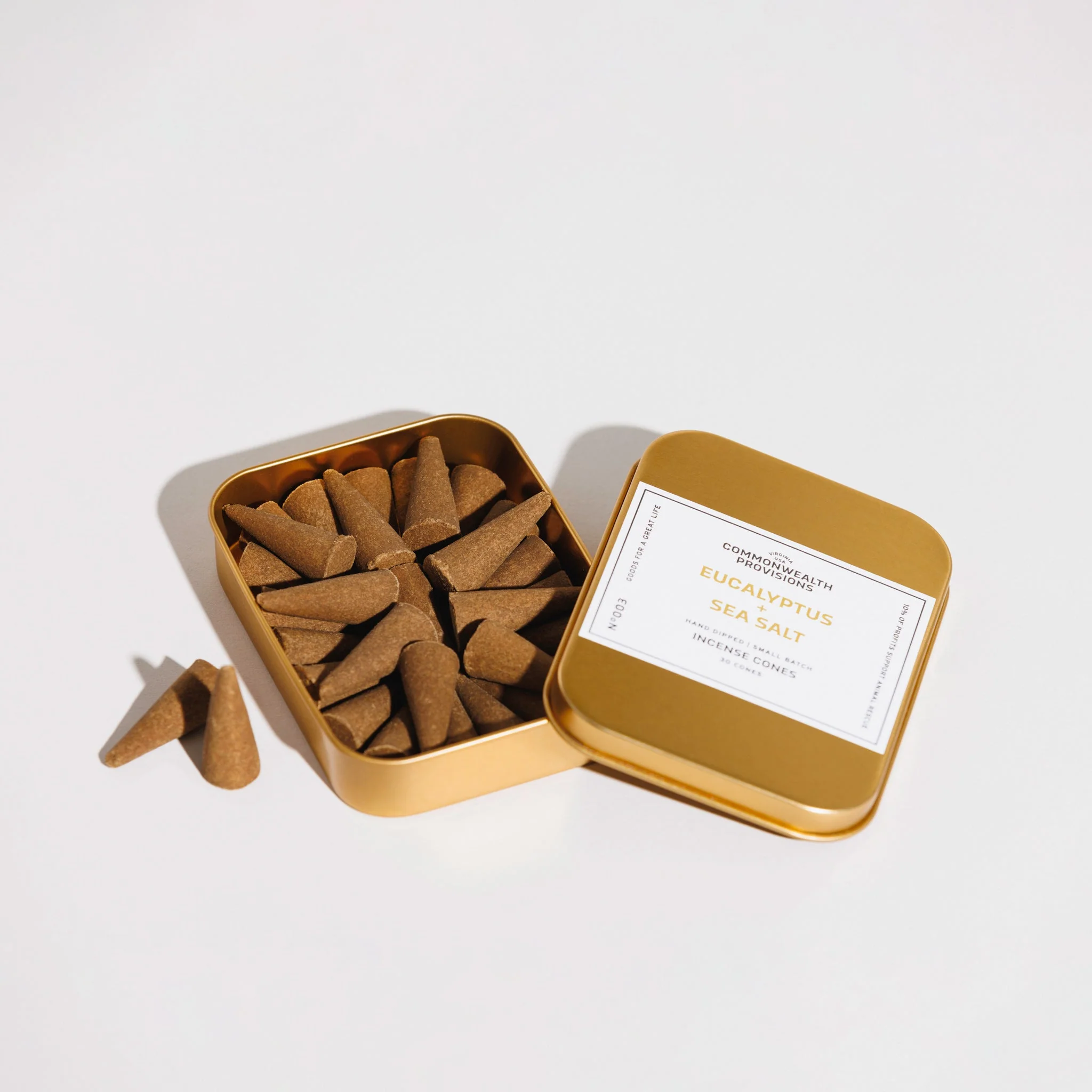 Eucalyptus + Sea Salt Incense Cones - Image 2