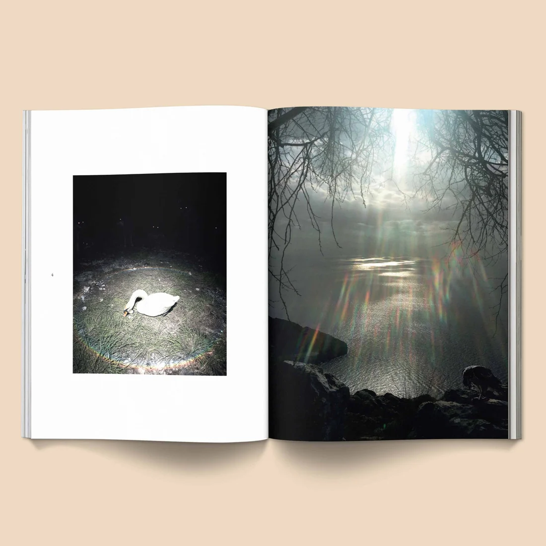 Female Pentimento: Inner Nature Coffee Table Book - Image 4