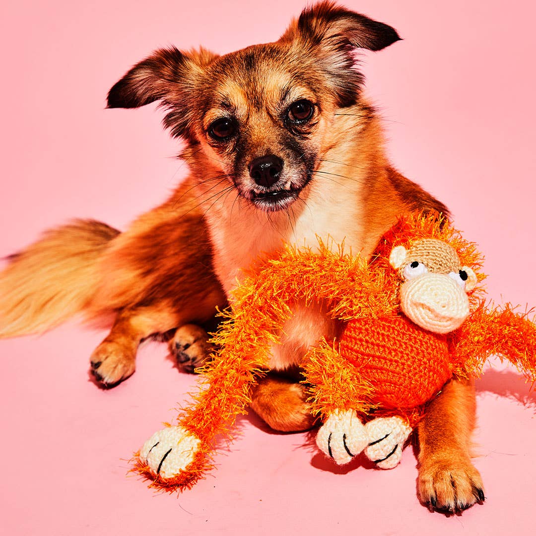 Hand Crochet Monkey Dog Toy - Image 2