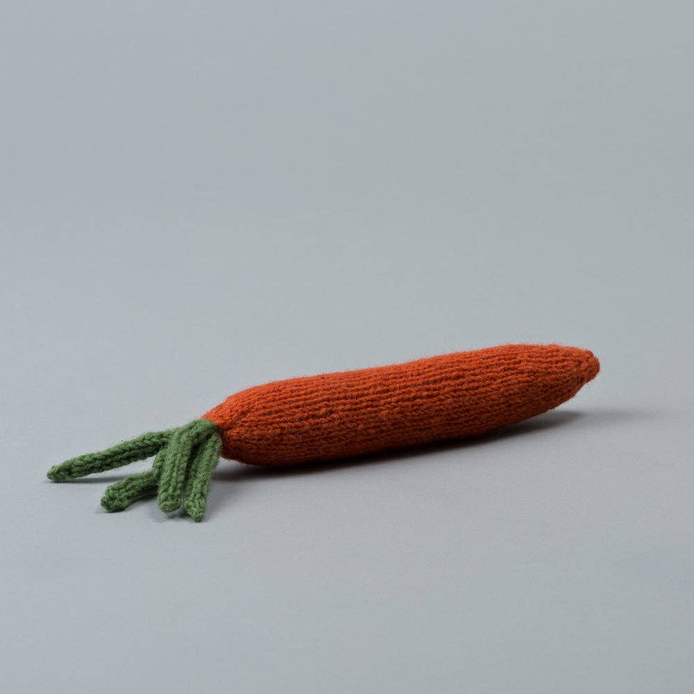 Hand Knit Carrot Dog Toy