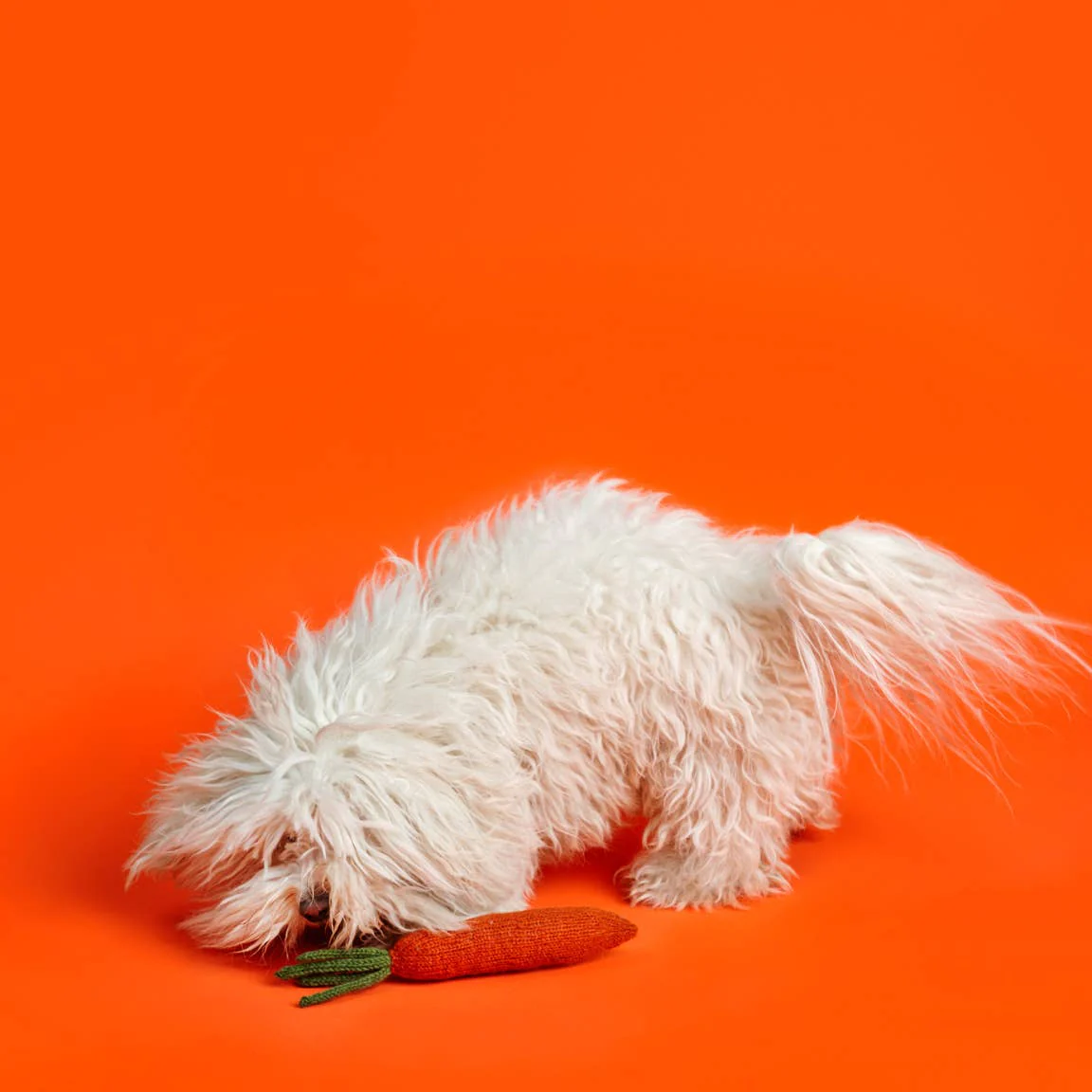 Hand Knit Carrot Dog Toy - Image 2