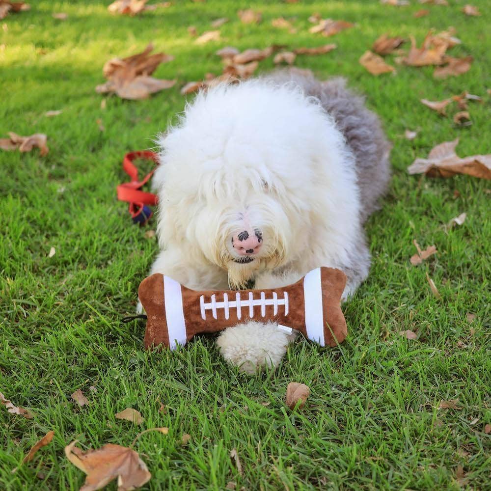 Football Bone Dog Toy - Image 2