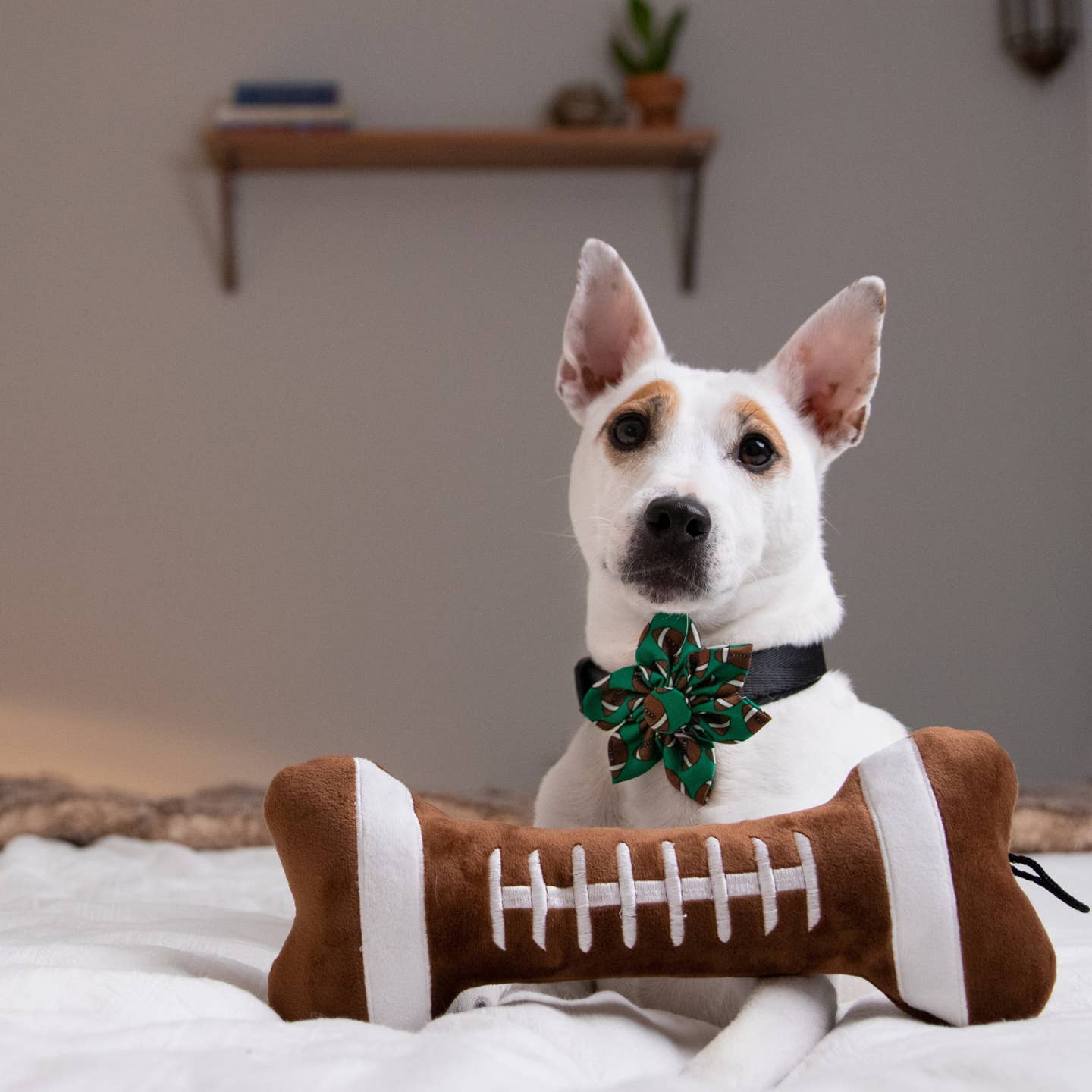 Football Bone Dog Toy - Image 3