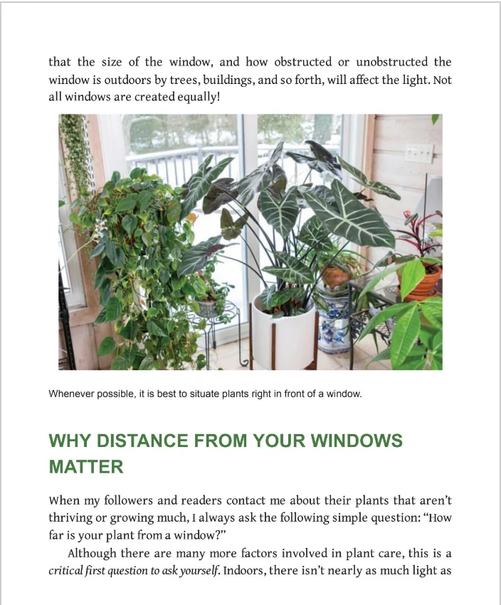 Houseplant Warrior - Image 3
