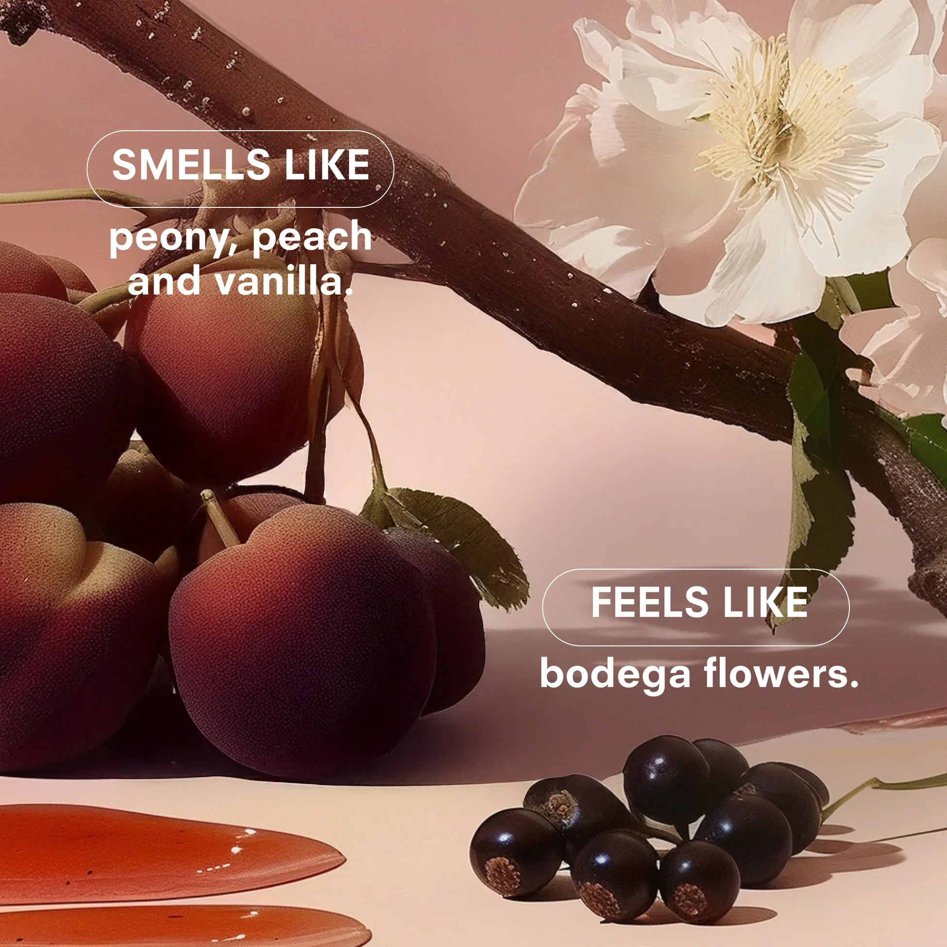 Les Candle - Image 3