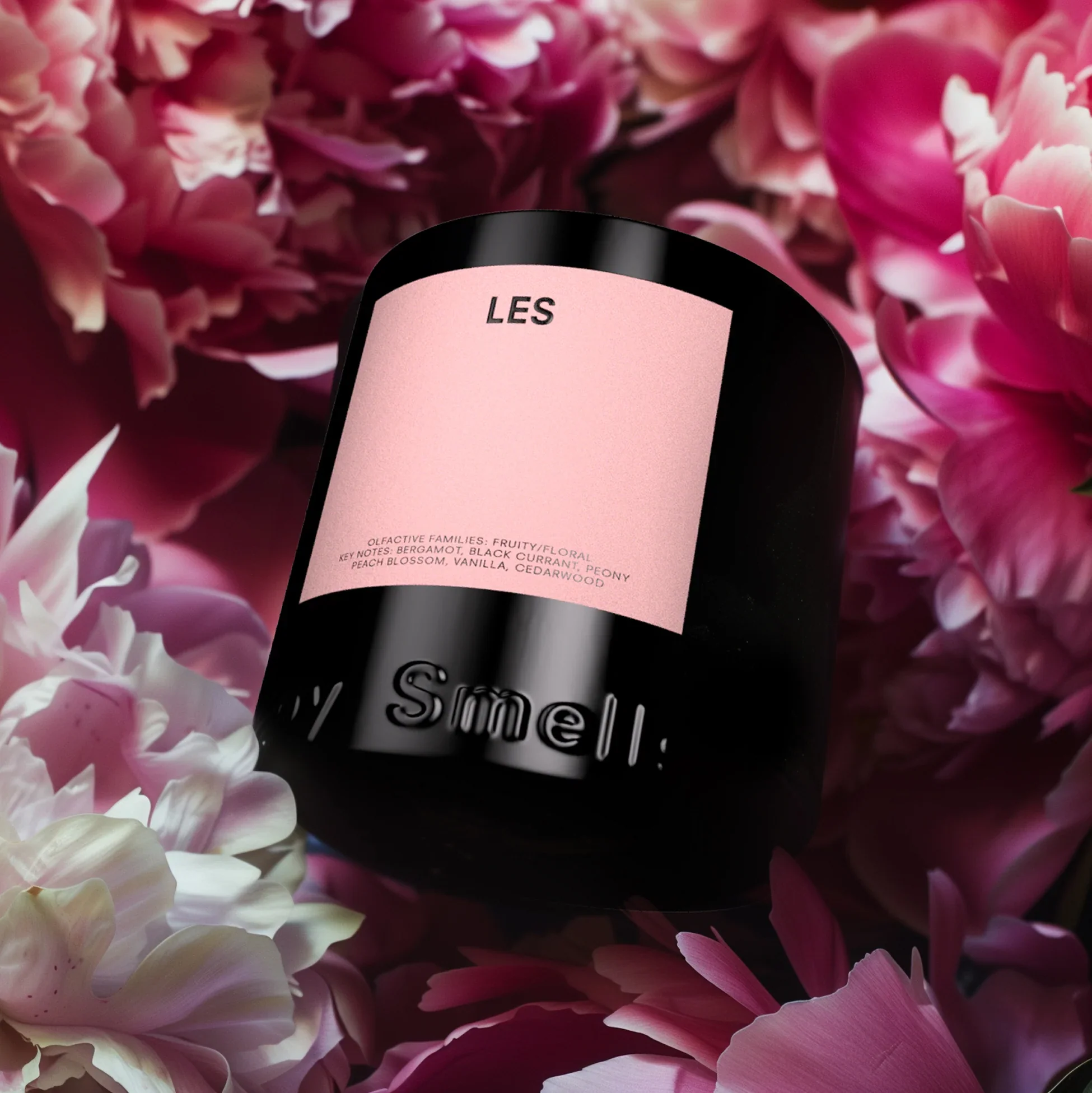 Les Candle - Image 6