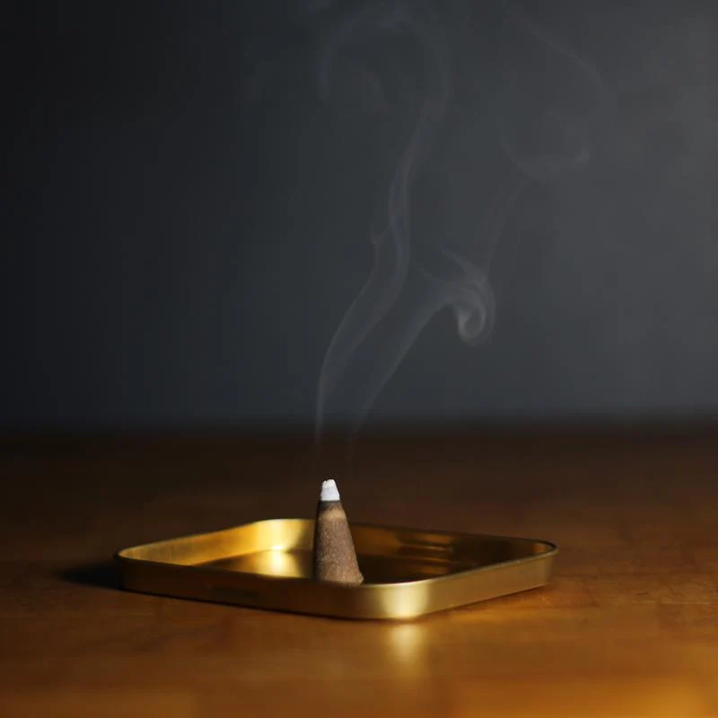 Oakmoss + Fig Incense Cones - Image 4
