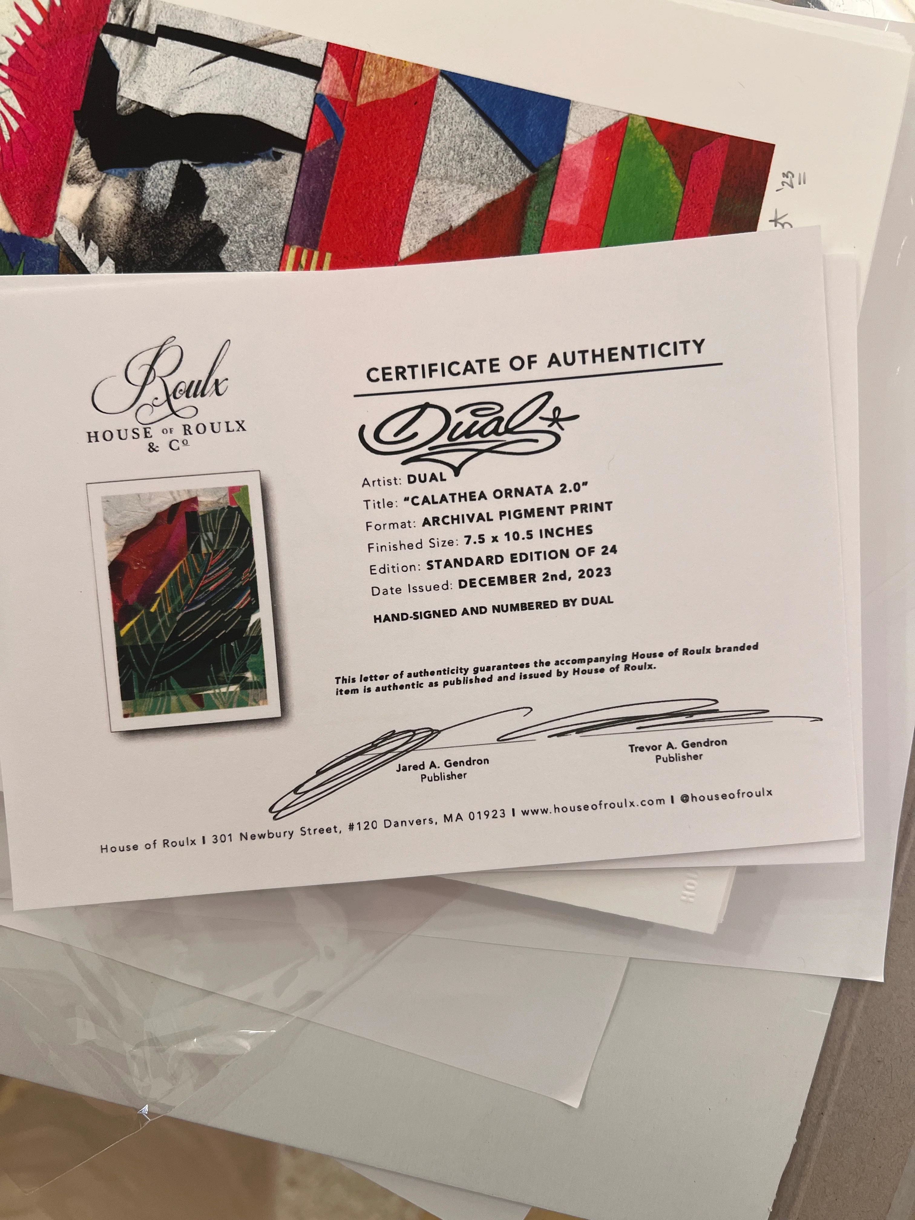 DUAL Print - "Calathea Ornata 2.0" - Edition of 24 - Image 2