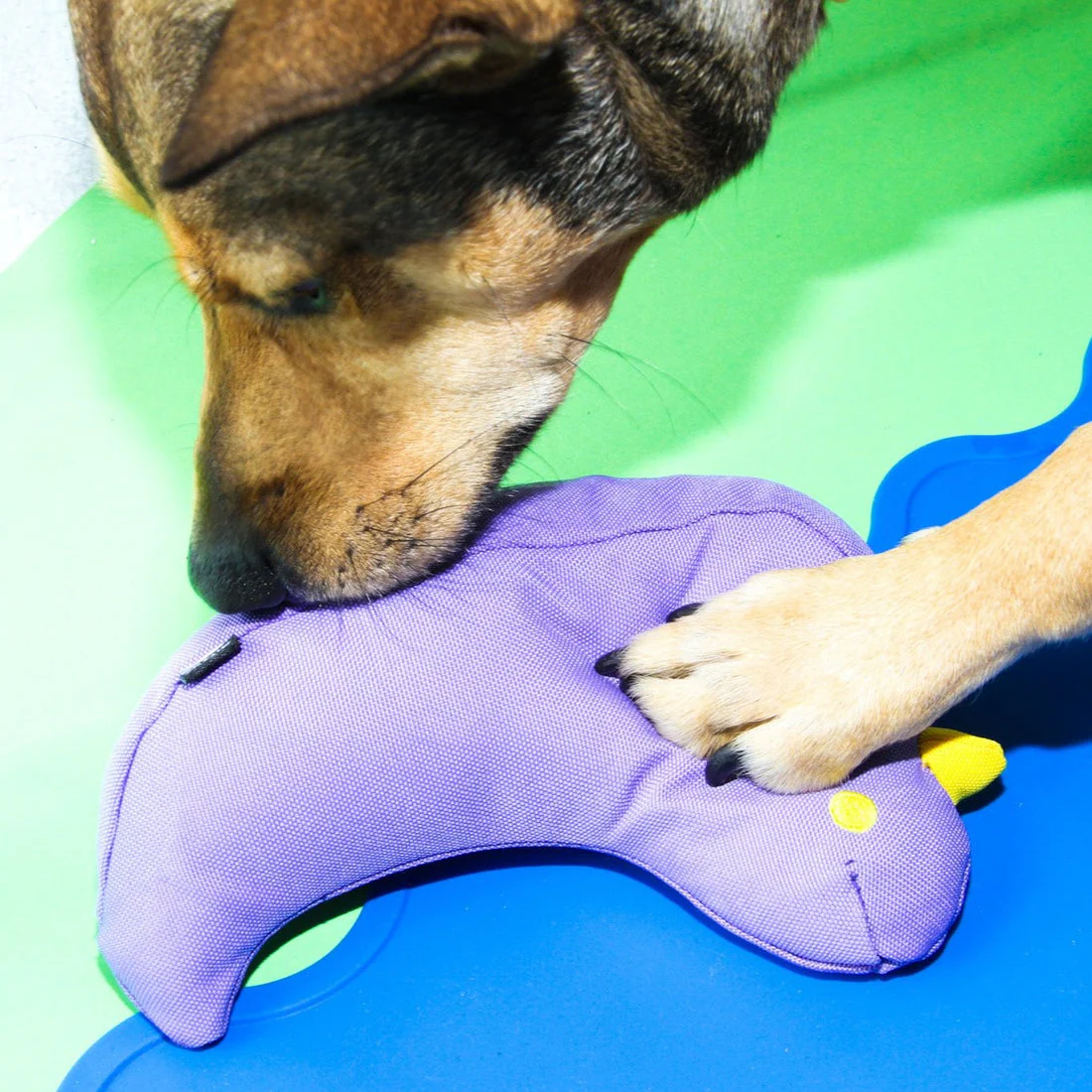 The Fritz Bird Dog Toy - Happy Purple - Image 3