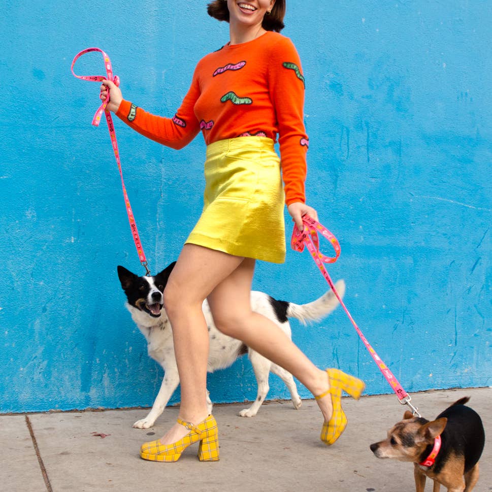 Trash Day Dog Leash - Image 3