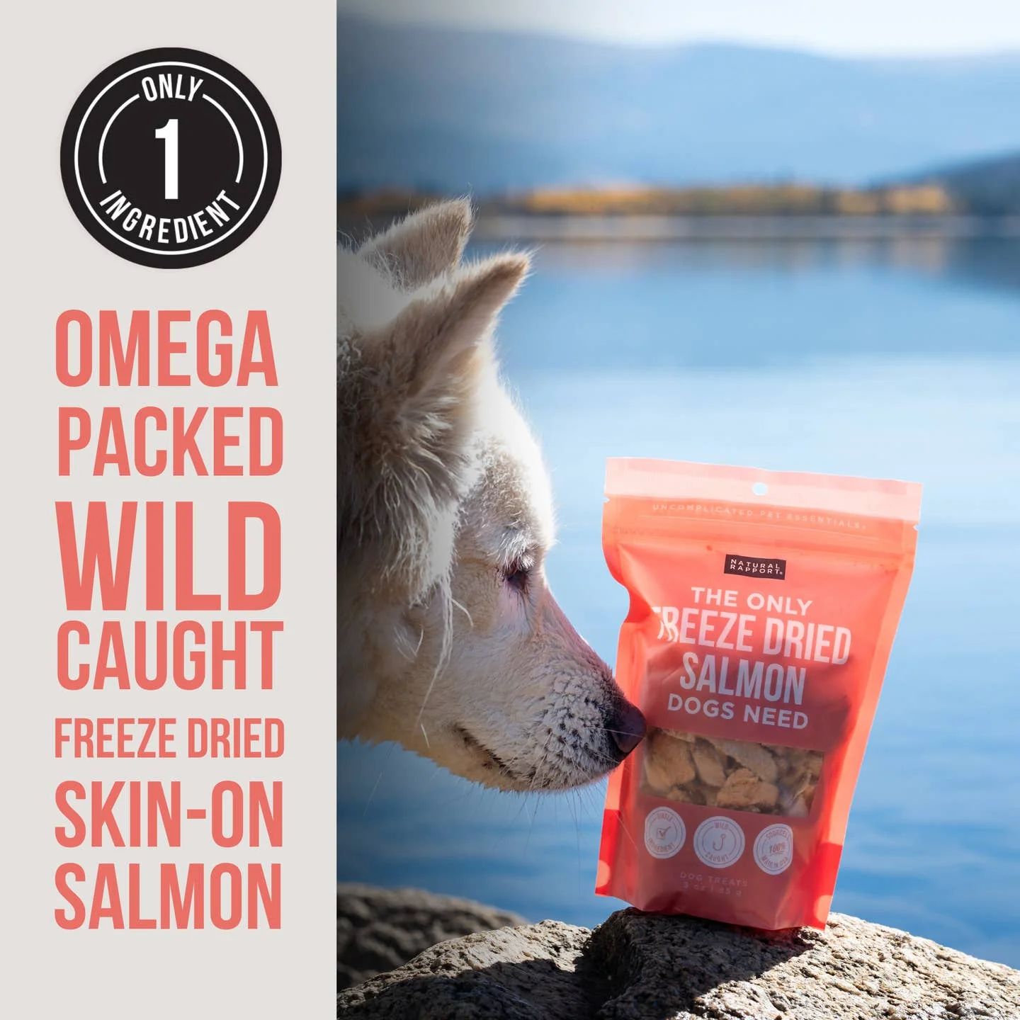 The Only Freeze Dried Salmon Dogs Need - Image 3
