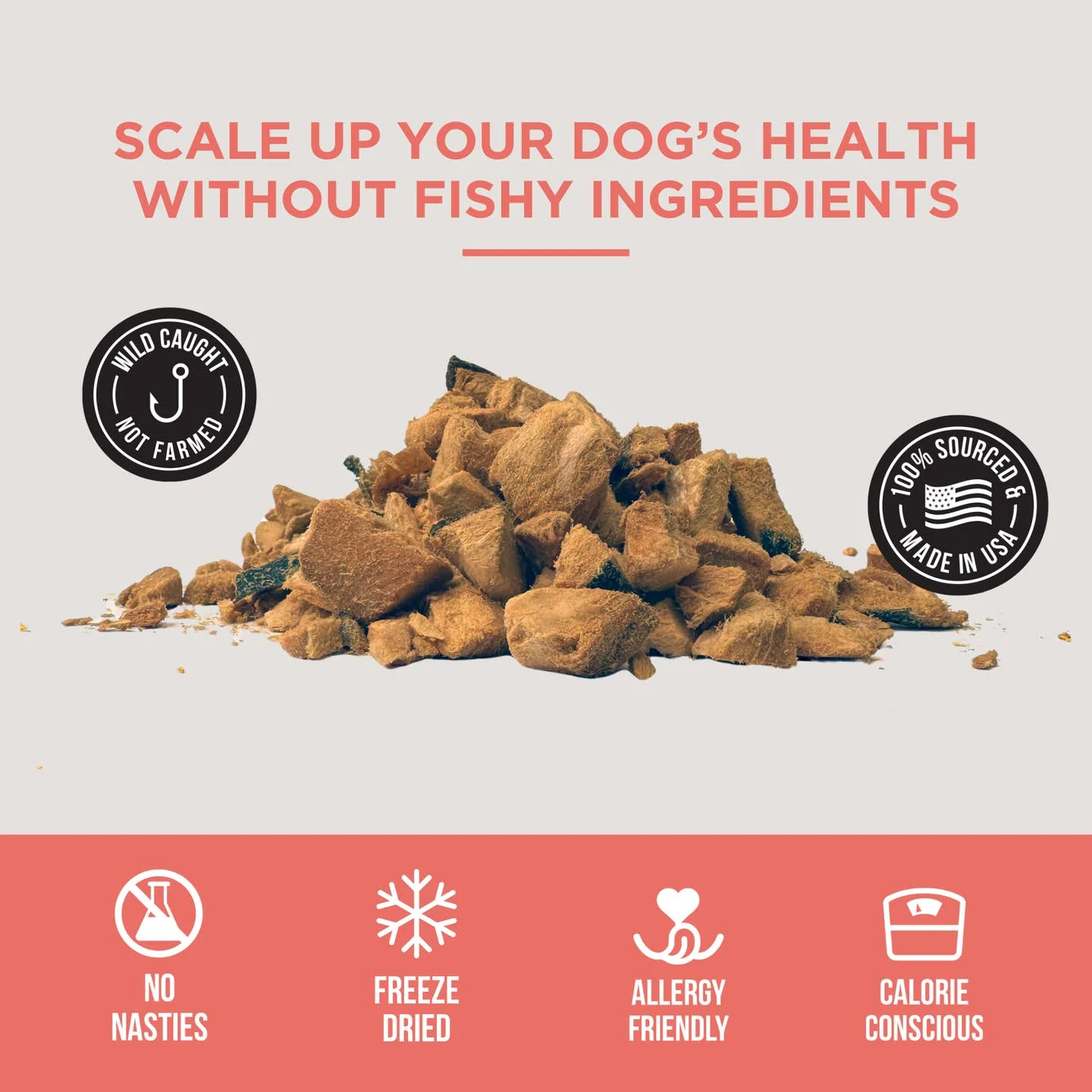 The Only Freeze Dried Salmon Dogs Need - Image 4