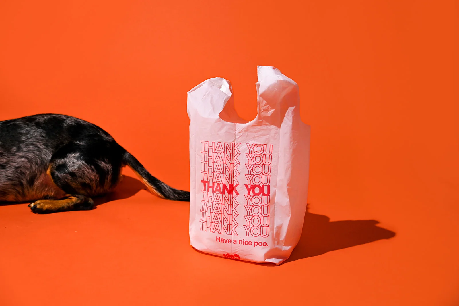 The Thank You Poo Bag - Image 4