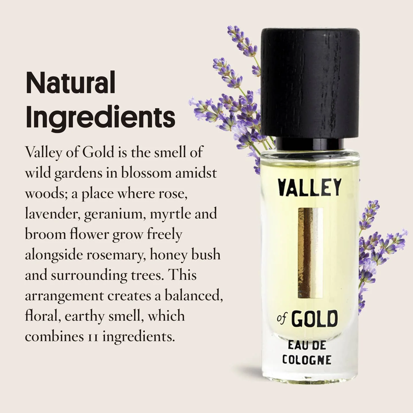 Valley of Gold Eau De Cologne | Unisex Aromatic Blend 10ml - Image 5