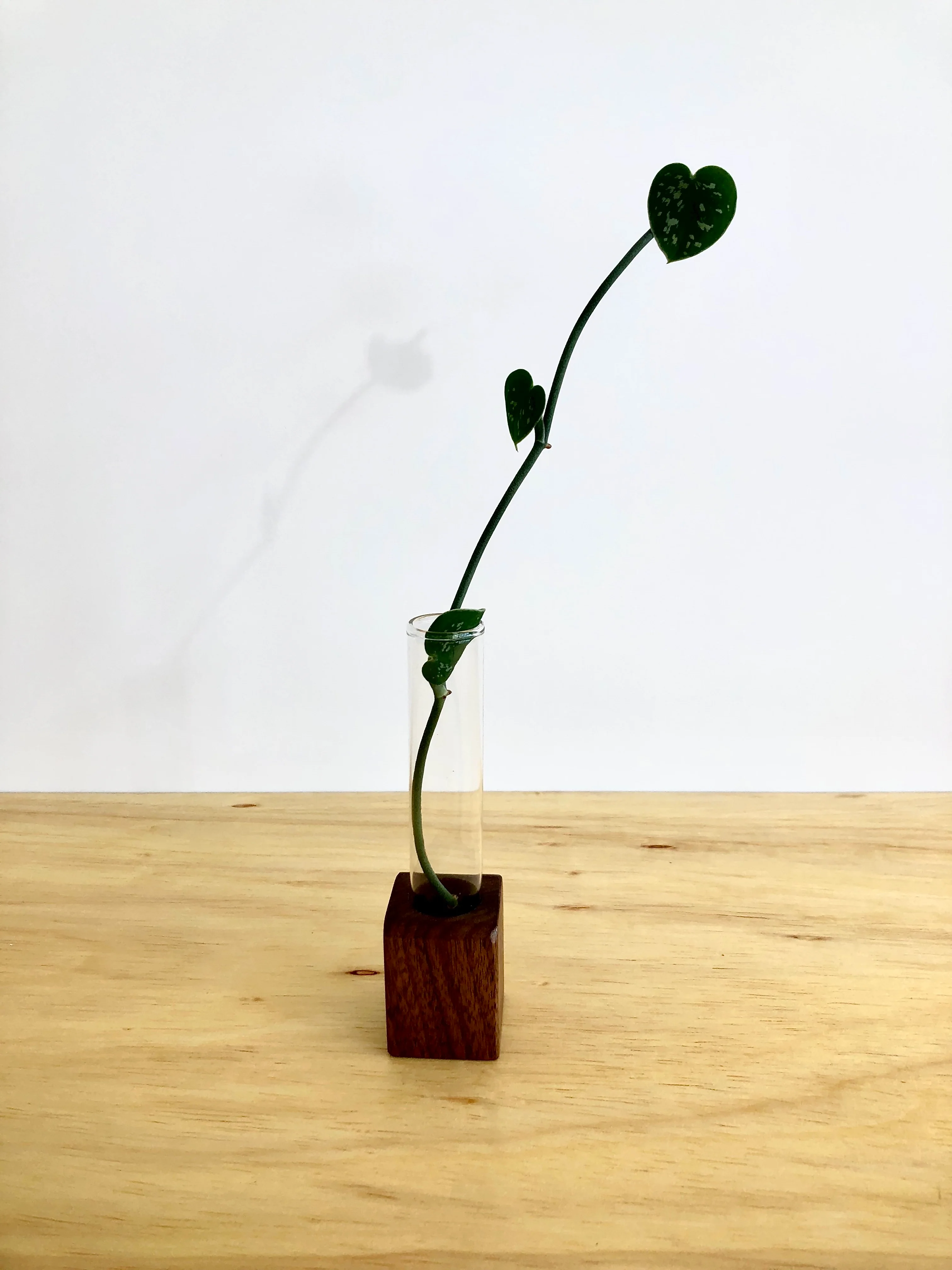 Wood Propagation Stand - Single Large